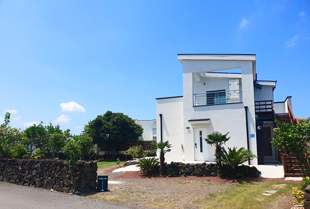 제주일스테이 몽생몽생